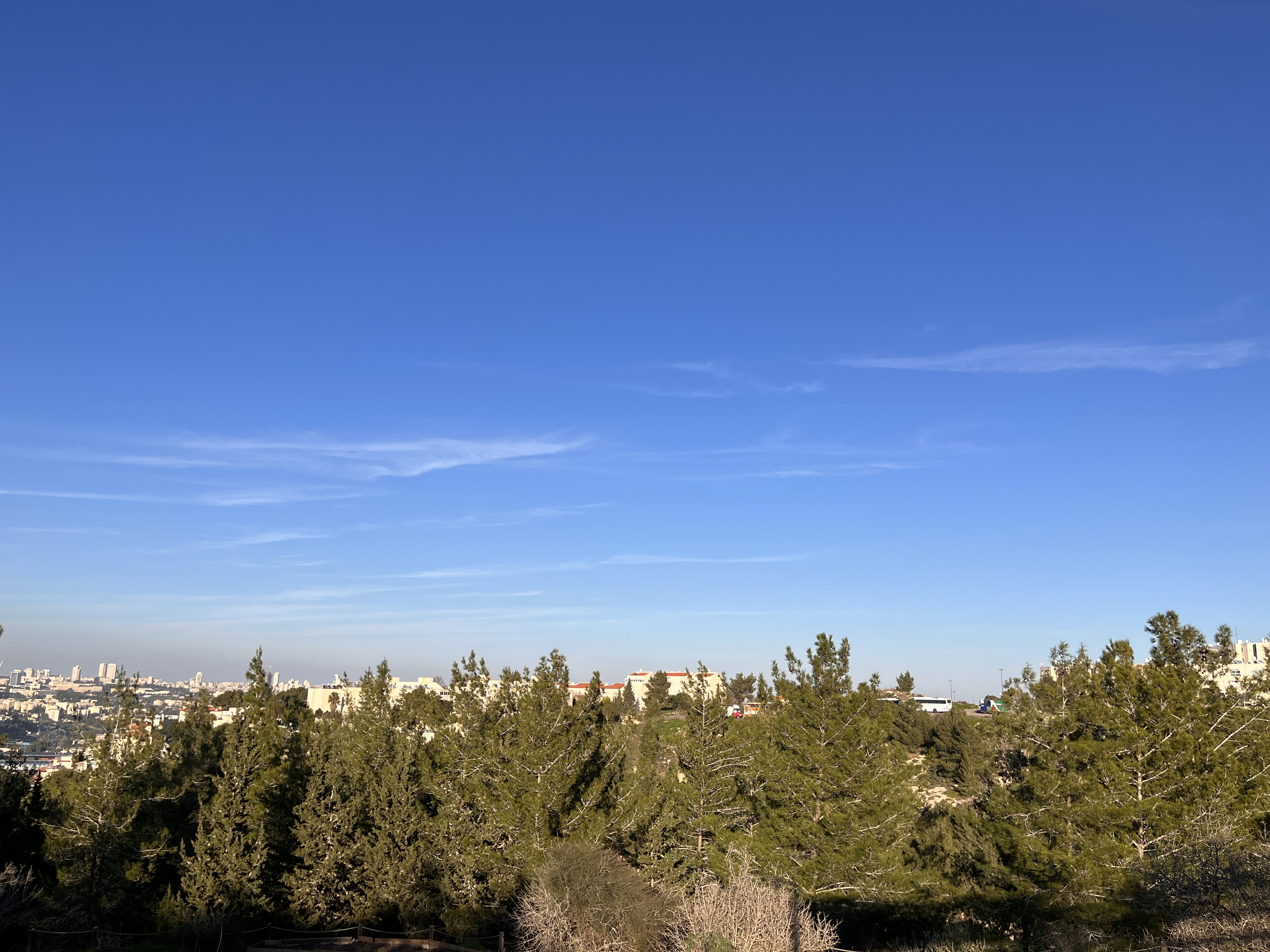 נוף ירושלים